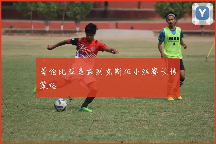 哥伦比亚乌兹别克斯坦小组赛长传策略