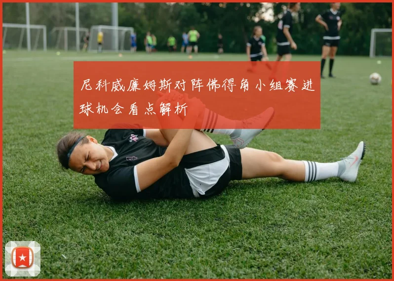 尼科威廉姆斯对阵佛得角小组赛进球机会看点解析