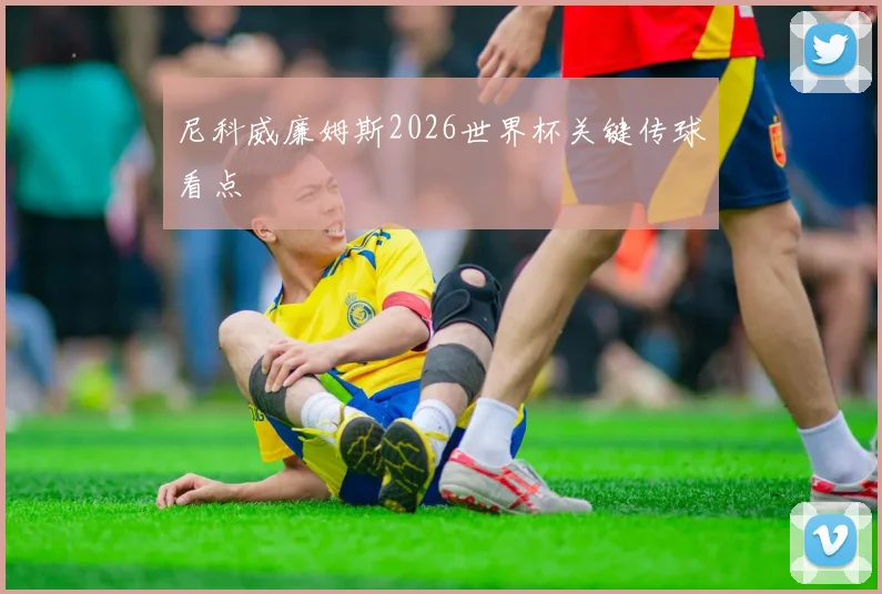 尼科威廉姆斯2026世界杯关键传球看点