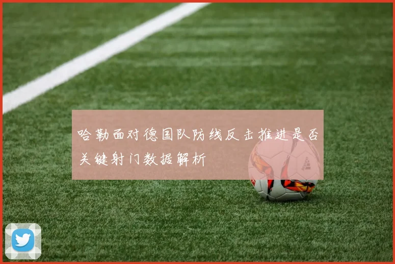 哈勒面对德国队防线反击推进是否关键射门数据解析