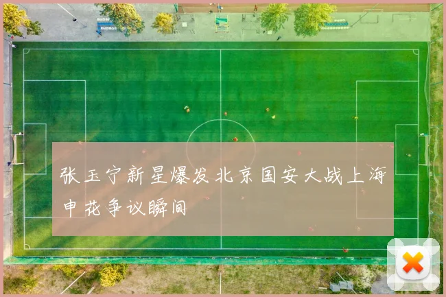 张玉宁新星爆发北京国安大战上海申花争议瞬间