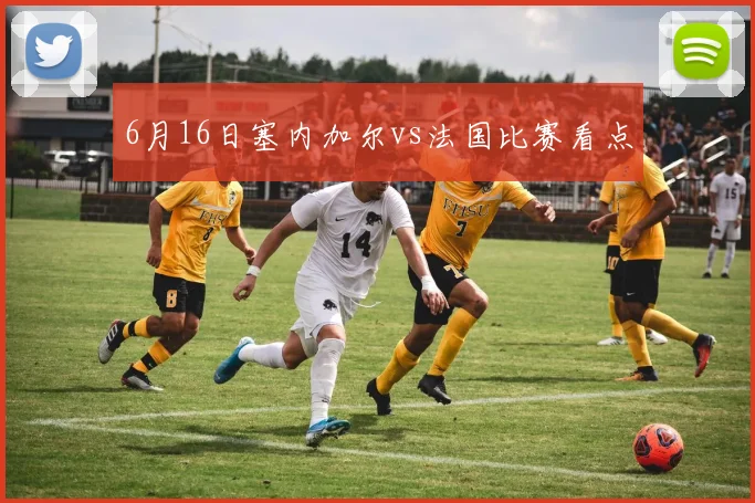 6月16日塞内加尔vs法国比赛看点