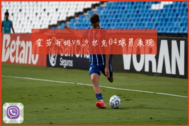 霍芬海姆vs沙尔克04球员表现