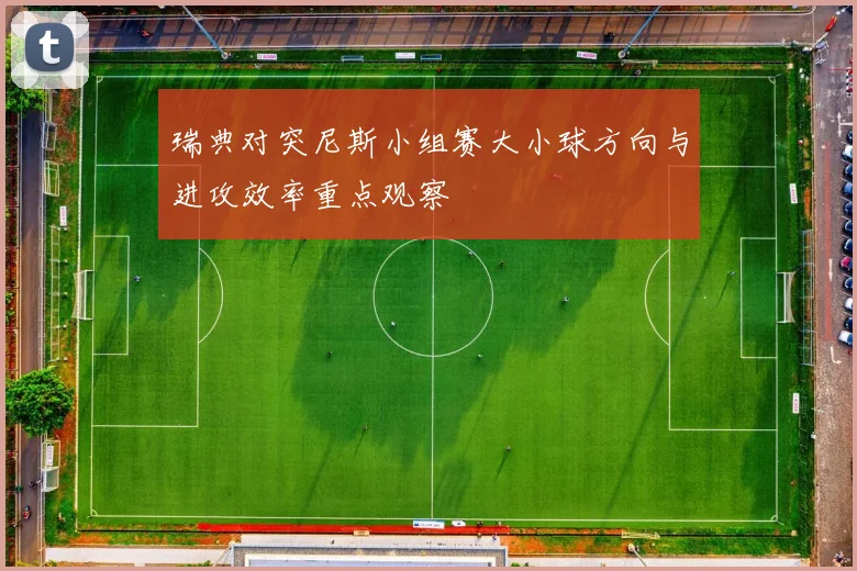 瑞典对突尼斯小组赛大小球方向与进攻效率重点观察