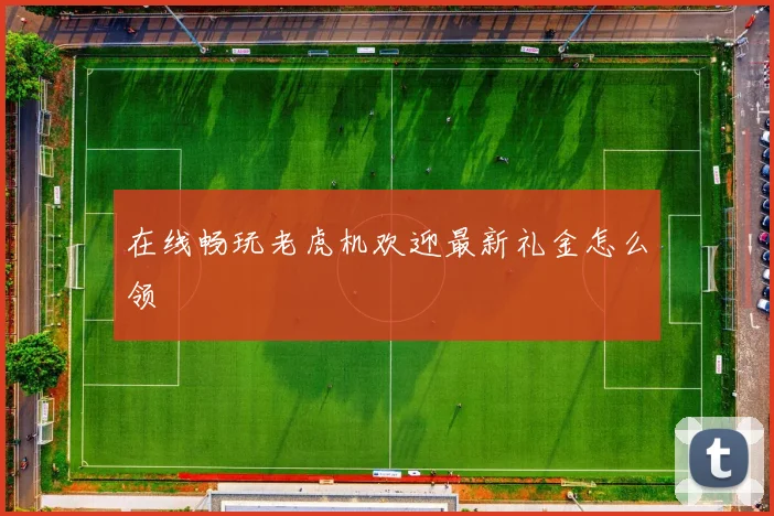 在线畅玩老虎机欢迎最新礼金怎么领